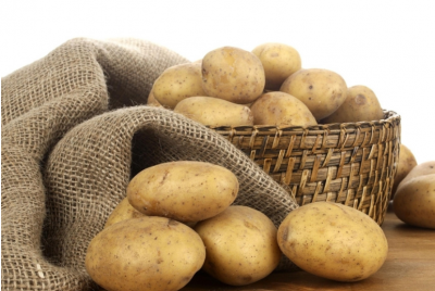 夏天土豆的储存方法 家庭长久储存土豆的好方法分享