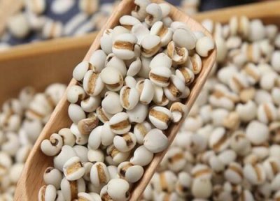 薏米含糖量 薏米含糖量高吗