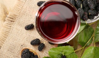 桑葚干怎么泡水 桑葚干泡水的正确方法