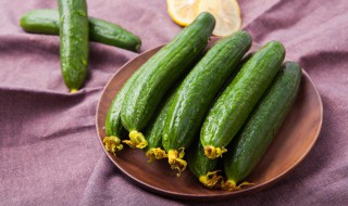 酸甜黄瓜花腌制方法 酸甜黄瓜花简单的腌制方法