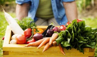 萝卜空气炸锅多久 空气炸锅烤萝卜的时间