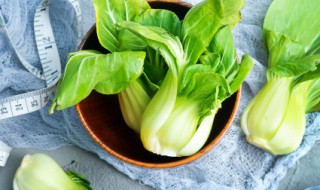 夏天有什么当季蔬菜 夏季当季蔬菜的品种