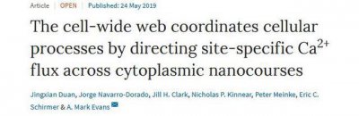 科学家在人体细胞内发现电路板 人体信号电路板发现价值