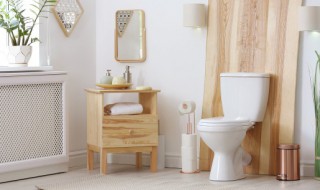 家装卫生间必备什么物件 家装卫生间必备的物件