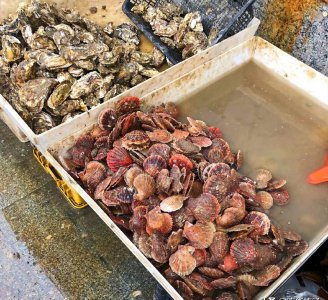 蒸牡蛎的最佳时间是多少分钟 一般清蒸牡蛎几分钟最佳