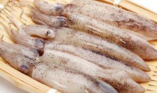 鱿鱼能和牛奶一起吃吗 鱿鱼和牛奶能同吃吗