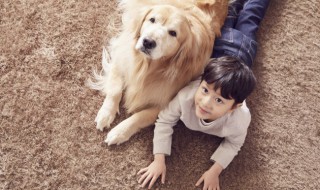 梦到让狗咬是什么意思 梦见被狗咬的暗示