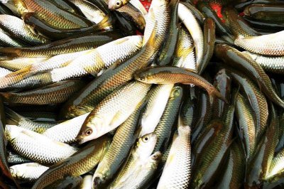 不想打工想自己创业不知道做什么好 不上班选择的创业项目