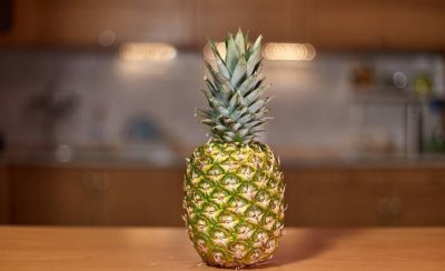 凤梨和菠萝的区别在哪里 凤梨跟菠萝究竟是不是一个品种