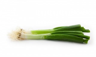白露前后多久可以种葱 白露前后多久能种葱
