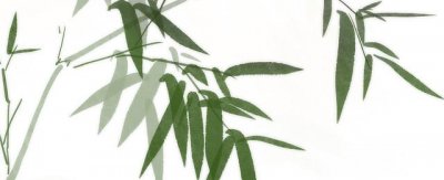 梅兰菊竹怎样挂的顺序图片 家里摆放梅兰竹菊的风水挂法