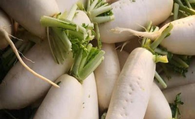 简述萝卜产生空心原因和防止对策 空心现象由什么引起