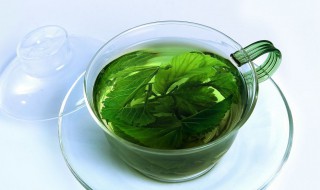 桑叶泡水的功效和作用 桑叶泡水有什么作用