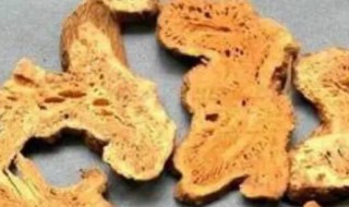 炒苍术和苍术的区别 炒苍术与生苍术的区别