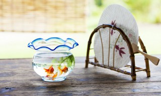 鱼缸玻璃多久能清洗干净 鱼缸玻璃总是脏处理方法