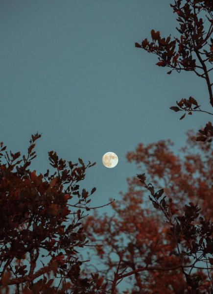 手机拍月亮参数怎么调