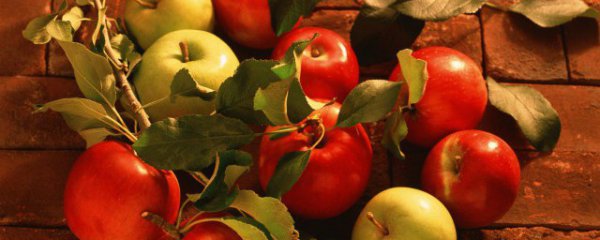 做苹果生意如何保鲜储存