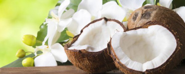 椰子肉可以直接吃吗