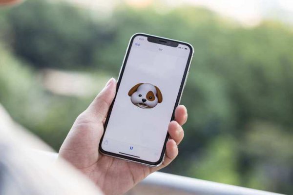 苹果x什么处理器型号