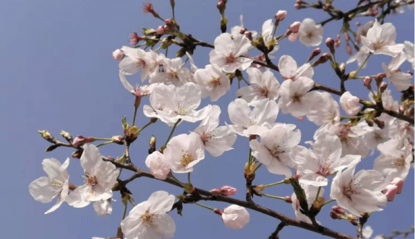 老公不爱说话不爱沟通怎么办