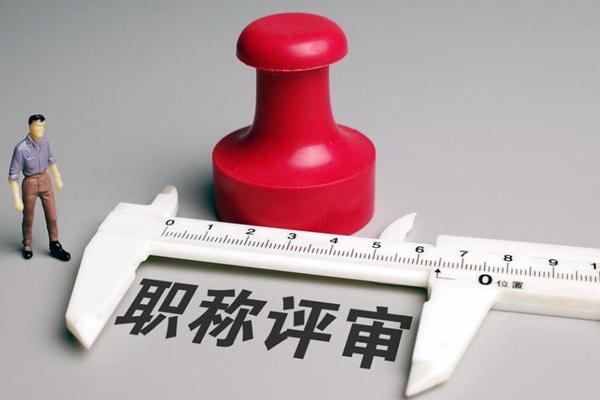 专业职称指的是什么类别