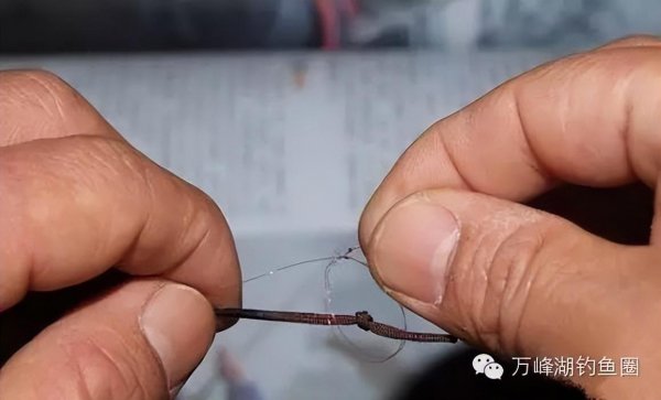 鱼线与鱼竿正确绑法