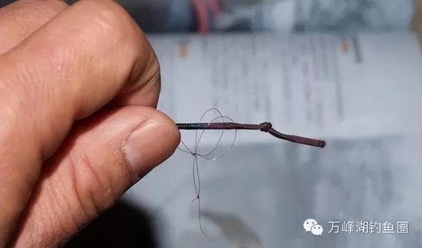 鱼线与鱼竿正确绑法