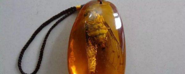 琥珀的功效与作用禁忌