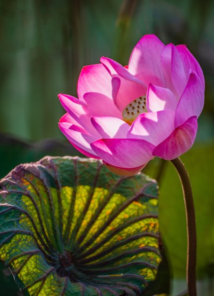 相机怎么设置拍照效果好