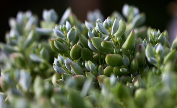 沭阳属于哪个省哪个市哪个县