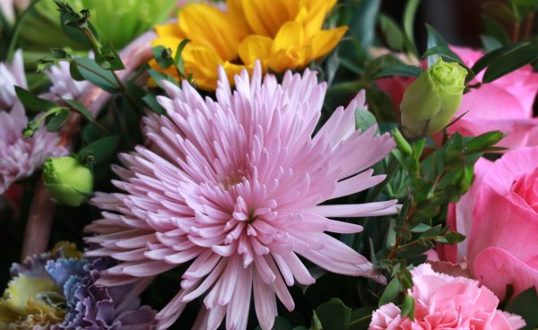 沭阳属于哪个省哪个市哪个县