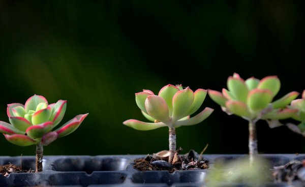 沭阳属于哪个省哪个市哪个县