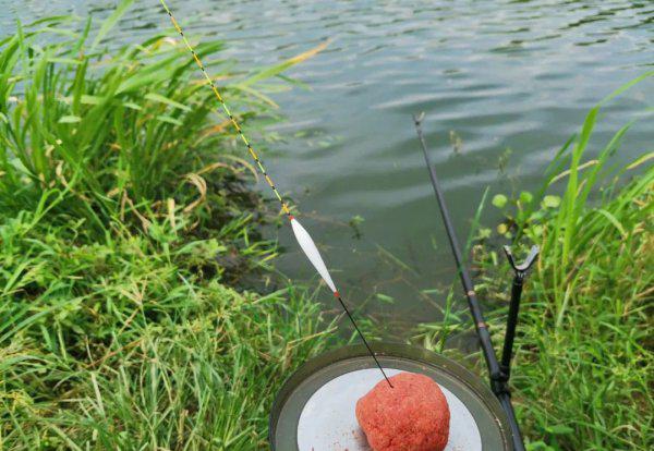 野钓鲫鱼用什么漂型的漂合适