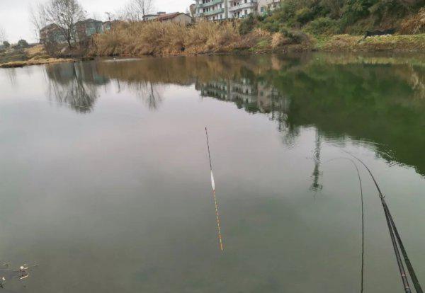 野钓鲫鱼用什么漂型的漂合适