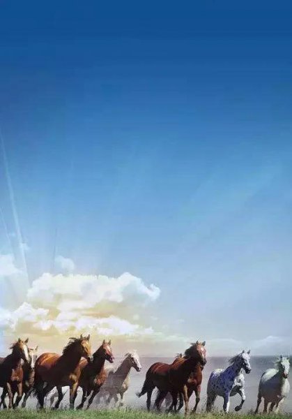 中国古代十大名马的名字