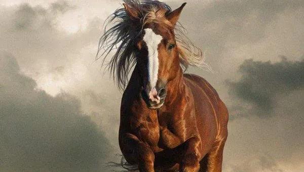 中国古代十大名马的名字