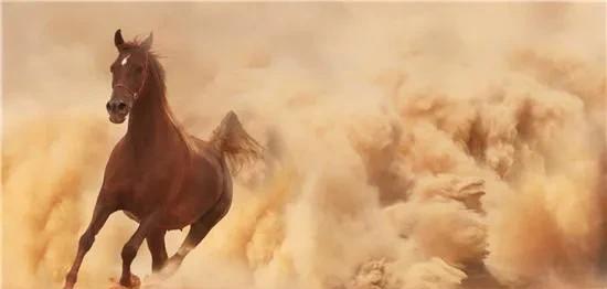 中国古代十大名马的名字