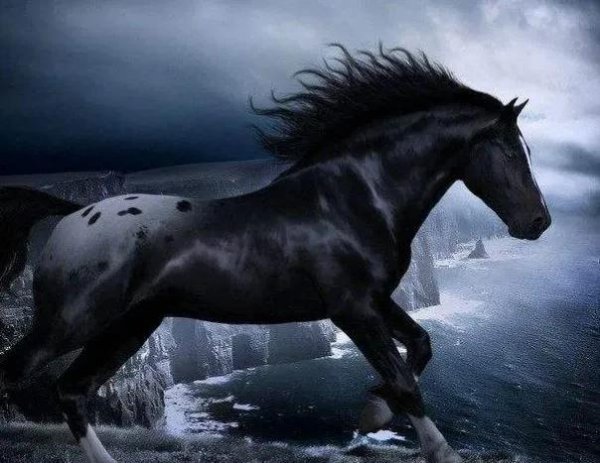 中国古代十大名马的名字