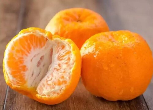 橘子的种类名称和图片
