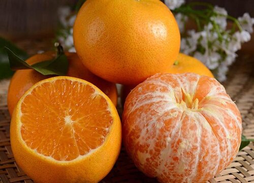 橘子的种类名称和图片