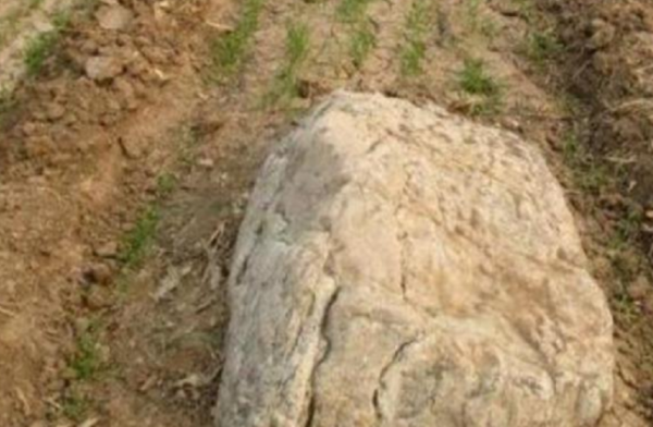 寿光静山下面有多深