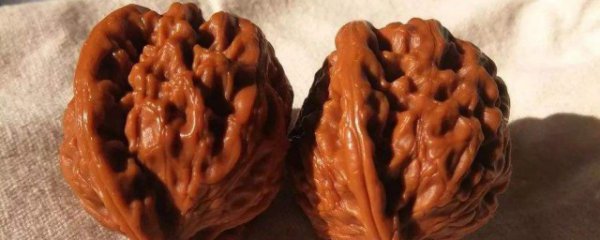 文玩核桃能水洗吗