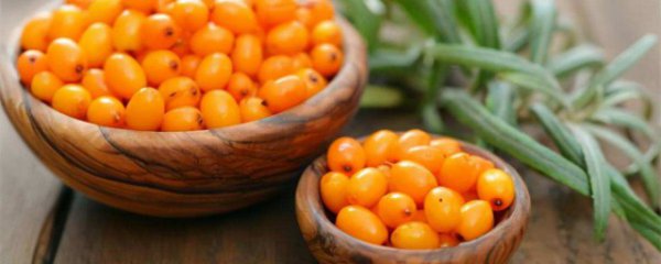 吃沙棘有什么好处