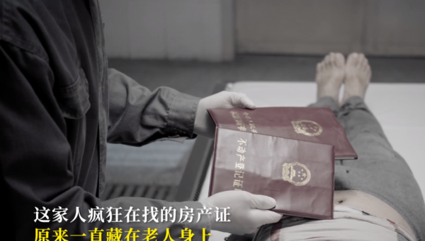 什么电视剧最火最好看