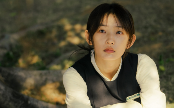 什么电视剧最火最好看