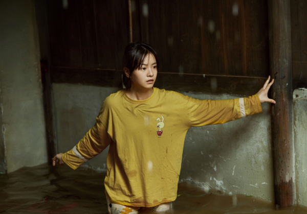 什么电视剧最火最好看