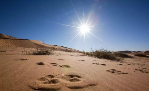 撒哈拉大沙漠在哪里