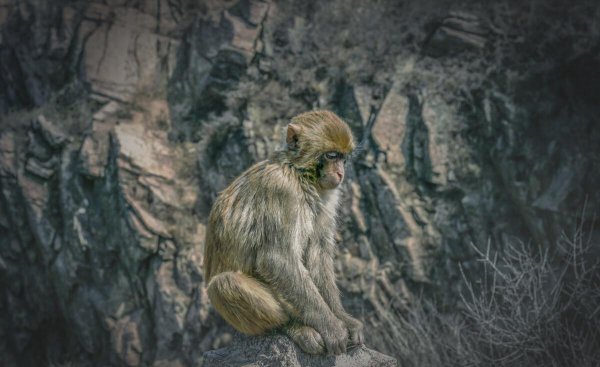 连云港旅游攻略景点推荐