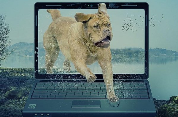 电脑c盘哪些文件可以删除