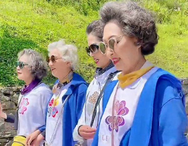 女士白发不显老发型